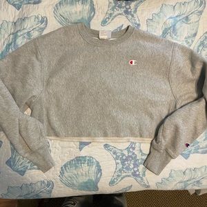 Reverse Weave Cropped Champion Sweatshirt